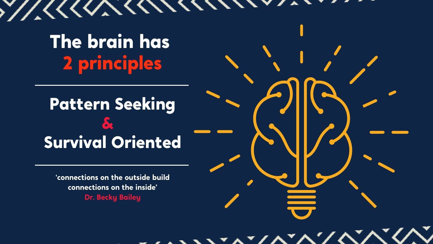 Brain principles slide