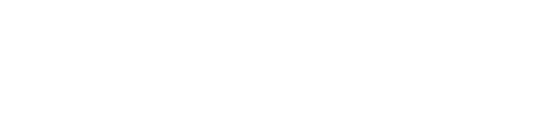 The Care Leaders