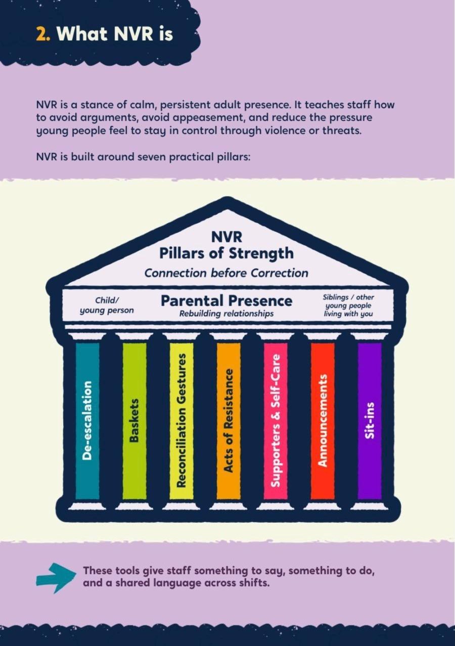 The NVR pillars of strength diagram