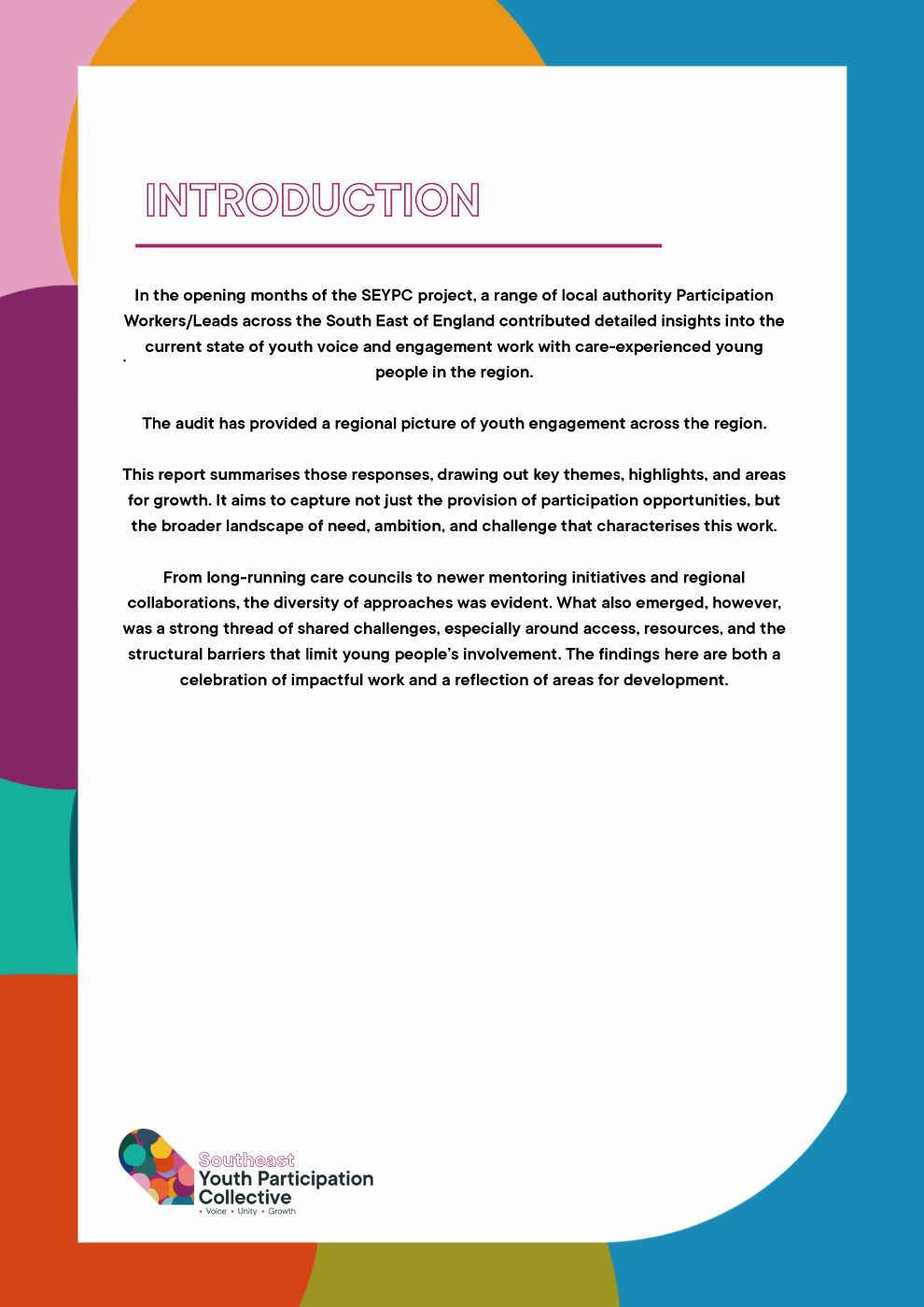 Audit report introduction