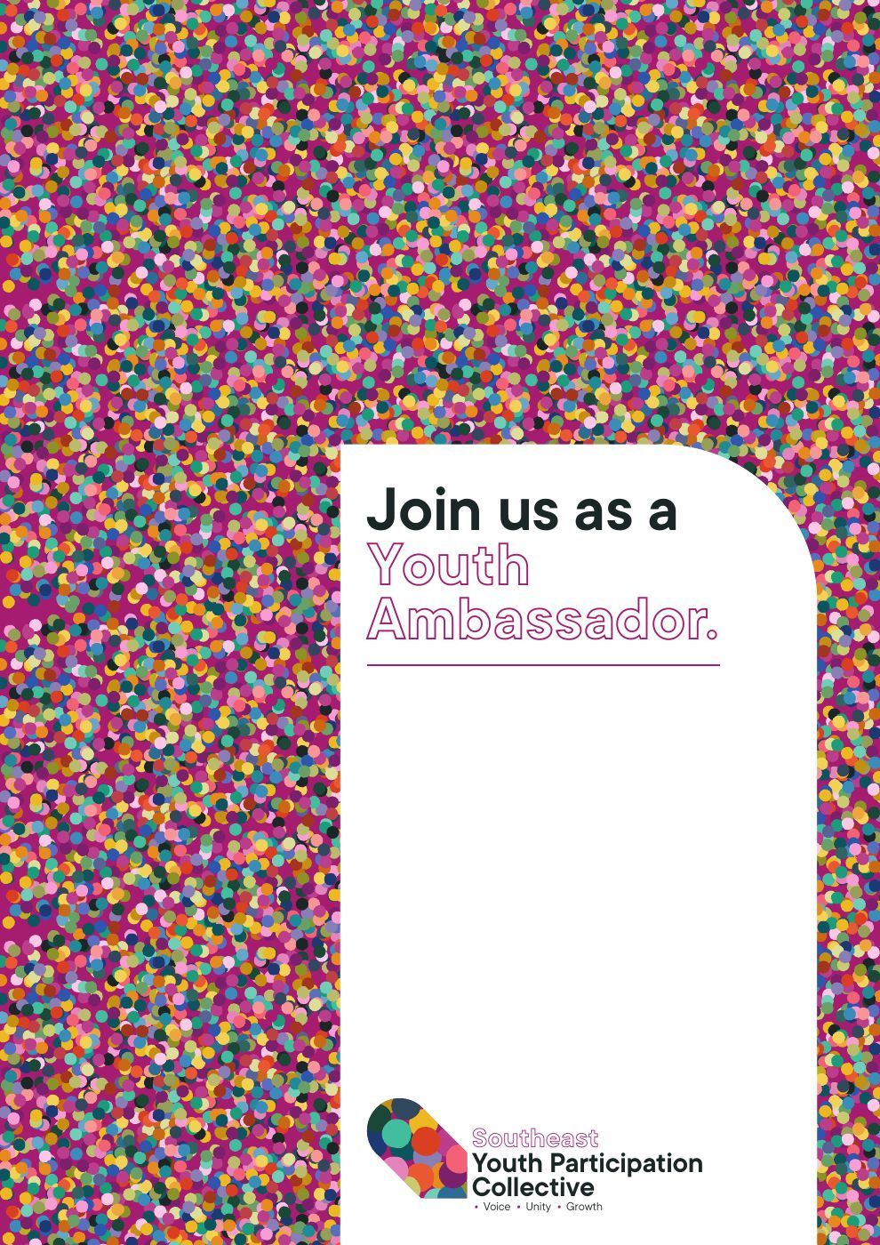 Youth Ambassador flyer cover