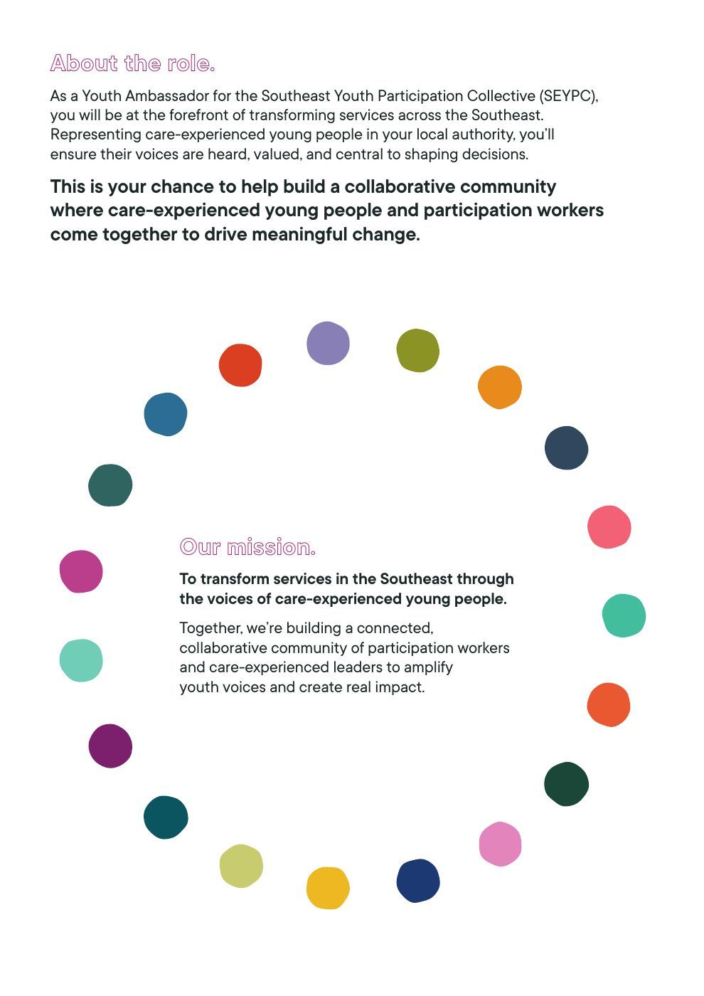 Youth Ambassador flyer inside