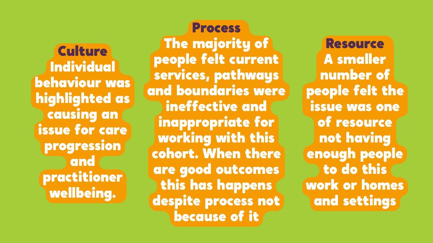 Slide summarising culture, process and resource findings