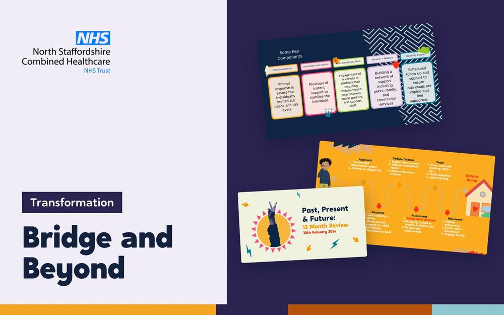 NHS Staffordshire and Stoke-on-Trent: Bridge and Beyond