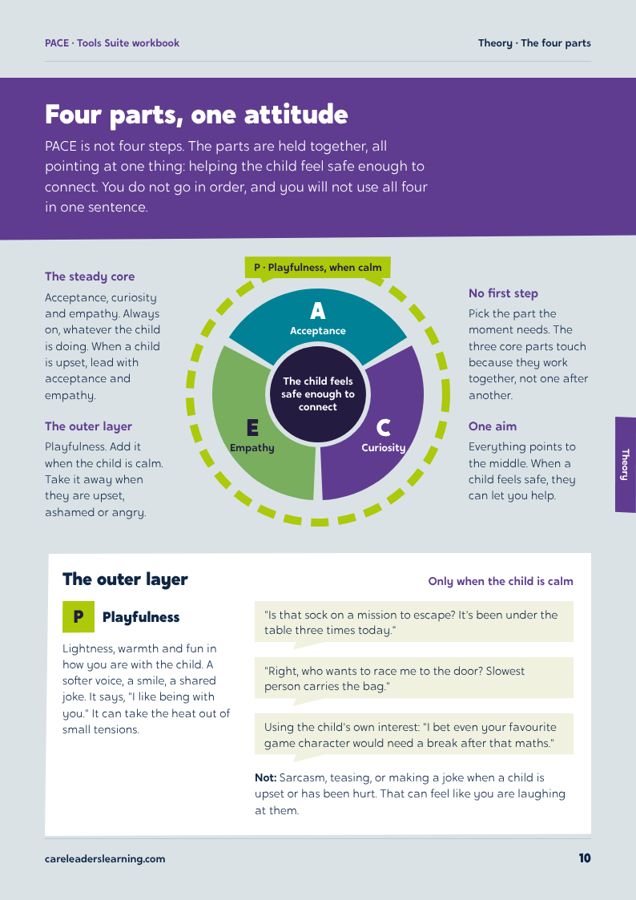 PACE workbook, page 5 of the sample
