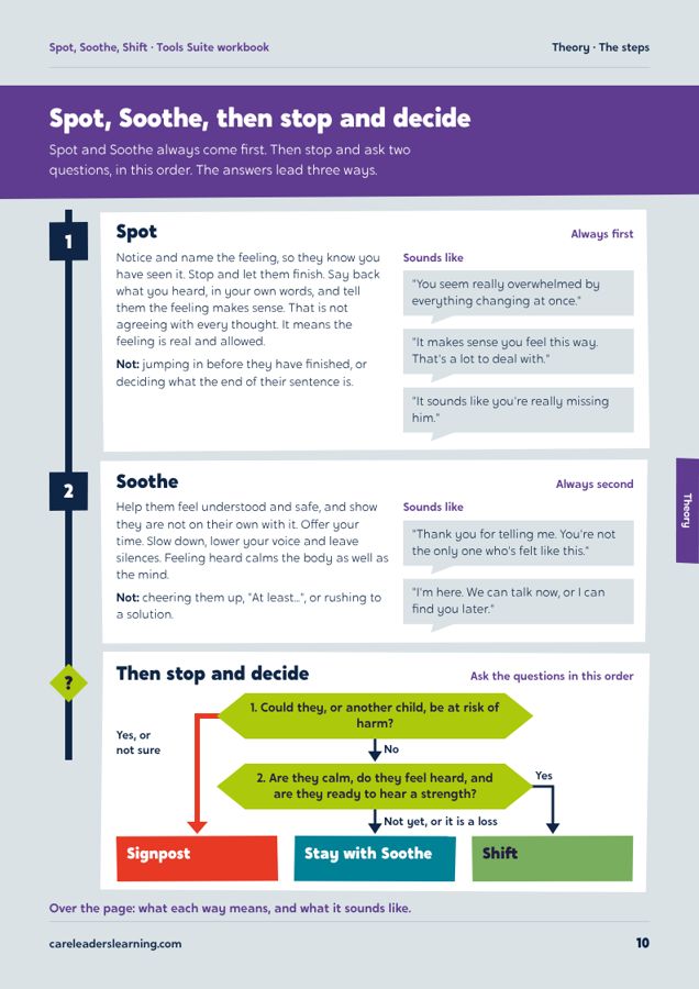 Spot, Soothe, Shift workbook, page 3 of the sample